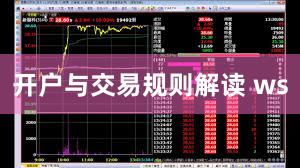 开户与交易规则解读 ws